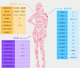 揭秘2016大數(shù)據(jù)黑馬 野心與網(wǎng)絡技術服務的無限博弈